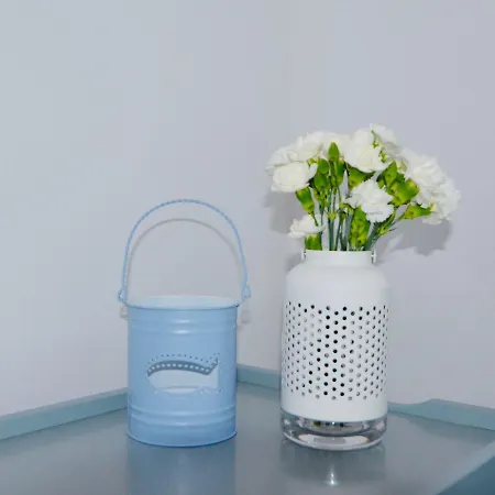 Piaskowe B21 Z Tarasem Na Dachu